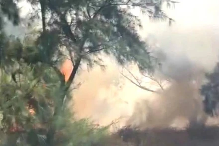 Hiện trường vụ cháy rừng tại xã Cam Hồng, tỉnh Quảng Trị.