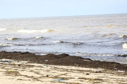 Bãi biển Nhật Lệ ngập rác đủ loại trong những ngày sau bão số 10.