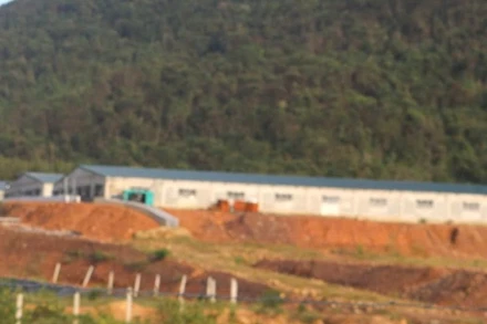 Trang trại nuôi lợn của Công ty Bình Chi Nam Hưng hoạt động khi chưa được cấp giấy phép môi trường.