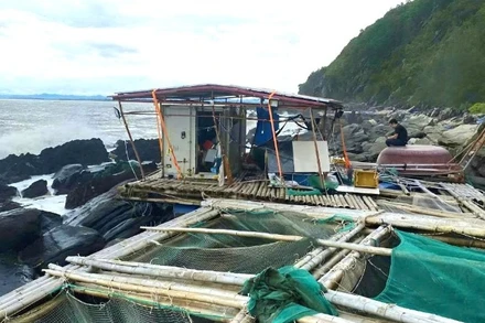 Lồng bè nuôi cá bớp, tôm hùm và hàu ở vịnh Hòn La, xã Phú Trạch, tỉnh Quảng Trị bị sóng lớn đánh tan hoang.