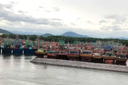 Tàu thuyền của ngư dân Quảng Trị neo đậu ở Khu neo đậu tránh trú bão sông Gianh. 