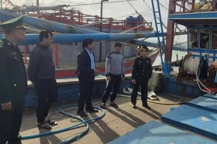 Cán bộ, chiến sĩ của Đồn Biên phòng Lý Hòa kiểm tra tàu cá vi phạm quy định khi đánh bắt trên biển.