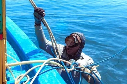 Ảnh minh họa (Ảnh: BÙI BIỀN)