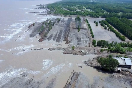 Khu vực cửa biển Bồ Đề (ấp Chợ Thủ B, xã Tân Ân, tỉnh Cà Mau) bị sạt lở nghiêm trọng.