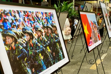 Tác phẩm trong sách ảnh "50 năm niềm vui thống nhất".