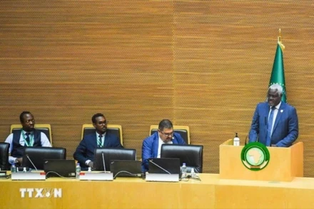 Cuộc họp của các quan chức AU ở Addis Abeba. (Ảnh: THX/TTXVN)