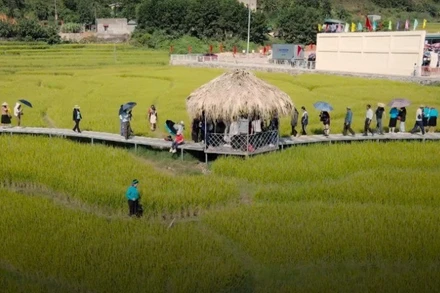 Lễ hội mùa vàng miền Soóng Cọ ở Tiên Yên.