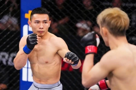 Lion Championship MMA là giải đấu chuyên nghiệp đầu tiên tại Việt Nam dành riêng cho bộ môn võ thuật tổng hợp (MMA).