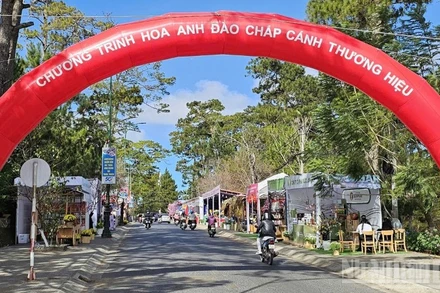 Không gian tổ chức chương trình “Hoa mai anh đào chắp cánh thương hiệu Đà Lạt”.