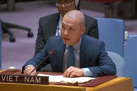 Công sứ Nguyễn Hoàng Nguyên, Đại biện lâm thời Phái đoàn thường trực Việt Nam tại Liên hợp quốc (New York) phát biểu tại phiên họp.