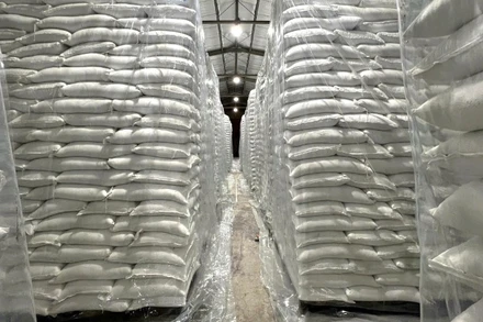 Gạo dự trữ quốc gia được đưa vào bảo quản an toàn về số lượng, bảo đảm chất lượng. (Ảnh: CDT) 