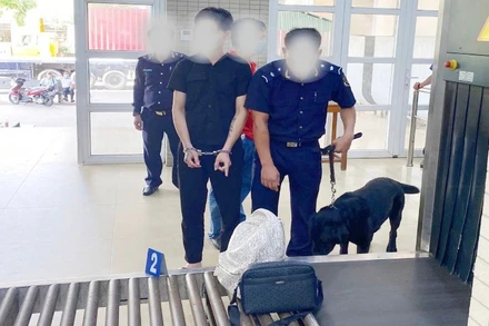 Hải quan phối hợp bắt giữ một đối tượng vận chuyển gần 2kg ma túy ngụy trang tinh vi trong hành lý cá nhân khi nhập cảnh. (Ảnh: CHQ)