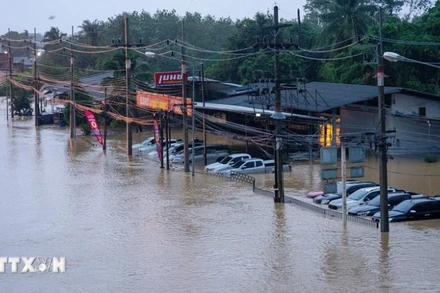 Cảnh ngập lụt tại Hat Yai, tỉnh Songkhla , Thái Lan, ngày 25/11/2025. (Ảnh: THX/TTXVN) 