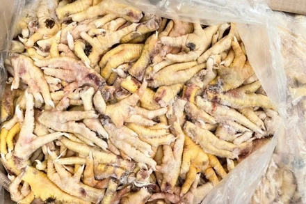 Khởi tố vụ án xuất khống 1.400 tấn nguyên liệu chân gà đông lạnh, trốn thuế hơn 7 tỷ đồng và có dấu hiệu chuyển tiêu thụ nội địa không khai báo hải quan. (Ảnh: CHQ)