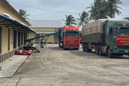 Xe vận chuyển gạo dự trữ quốc gia của Chi cục Dự trữ Nhà nước khu vực XII xuất phát hỗ trợ Nhân dân tỉnh Đắk Lắk bị thiệt hại do cơn bão số 13. (Ảnh: Cục Dự trữ) 