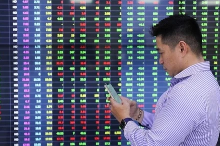 Ảnh minh họa. (Ảnh: TTXVN)