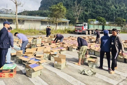 Lực lượng hải quan kiểm tra, phân loại tang vật vi phạm trong vụ vận chuyển trái phép thuốc lá điện tử qua tuyến quá cảnh.