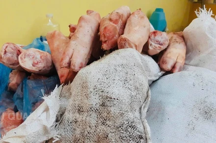 Bắt giữ 1.000kg chân lợn đông lạnh tại Chi cục Hải quan khu vực VI. (Ảnh: CHQ)