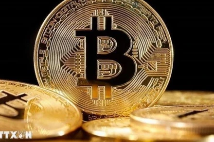 Tổ chức cung cấp dịch vụ tài sản mã hoá có thể bị phạt tới 200 triệu đồng nếu vi phạm điều kiện hoạt động. (Ảnh: TTXVN)