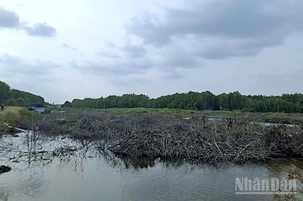 Một đoạn mặt bằng sạch đã được bàn giao phục vụ thi công tuyến cao tốc Cà Mau-Đất Mũi, đoạn qua xã Đất Mũi, tỉnh Cà Mau. 