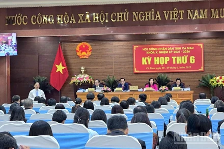 Phiên chất vấn và trả lời chất vấn sáng 9/12 tại kỳ họp cuối năm Hội đồng nhân dân tỉnh Cà Mau.