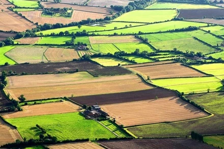 Bảo đảm lợi ích cho người dân khi chuyển mục đích sử dụng đất từ đất nông nghiệp sang đất ở. Ảnh minh họa