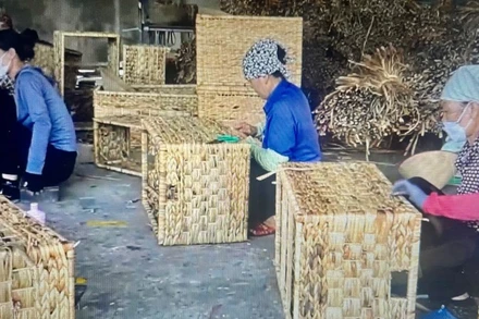 Nhiều doanh nghiệp nhỏ và vừa vẫn khó khăn trong tiếp cận văn bản, chính sách.