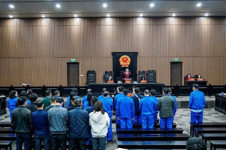 Hội đồng xét xử tuyên án sơ thẩm.