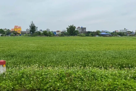 Có chính sách tạm cư phù hợp bảo đảm quyền lợi người dân bị thu hồi đất.