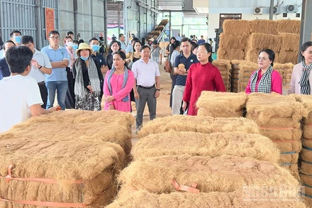 Đoàn khảo sát du lịch đường sông tham quan cơ sở sản xuất chỉ xơ dừa trên sông Thom. 