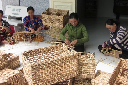 Nghề đan giỏ lục bình giúp nhiều phụ nữ ở Cần Thơ tăng thu nhập, ổn định cuộc sống.