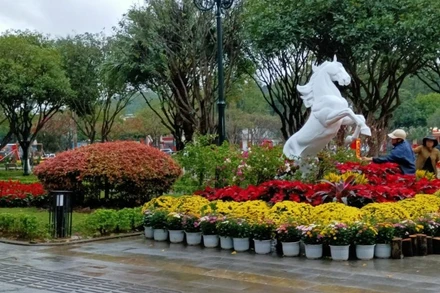 Công viên trung tâm xã Bát Xát rực rỡ chuẩn bị đón Tết Bính Ngọ.