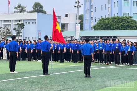 Đoàn viên trên địa bàn tỉnh Đồng Tháp tổ chức chào cờ Chào mừng Đại hội đại biểu toàn quốc lần thứ XIV của Đảng.