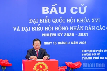 Đồng chí Trịnh Văn Quyết, Ủy viên Bộ Chính trị, Bí thư Trung ương Đảng, Trưởng ban Tuyên giáo và Dân vận Trung ương tiến hành bỏ phiếu bầu cử đại biểu Quốc hội khóa XVI và đại biểu Hội đồng nhân dân các cấp nhiệm kỳ 2026-2031.