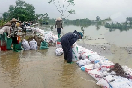 Lực lượng chức năng xã Xuân Mai tham gia chống ngập úng. 