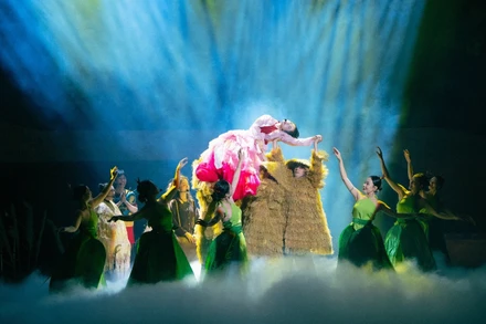 Ngay từ khi công diễn ra mắt, vở nhạc kịch "Giấc mơ Chí Phèo" đã thu hút sự quan tâm của khán giả, giới chuyên môn và truyền thông.