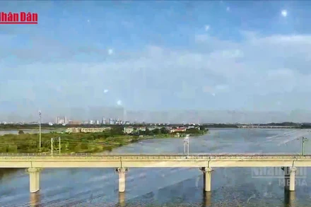 [Video] Nghiên cứu phương án làm đường sắt Bến Thành - Cần Giờ đi ngầm qua khu Nhà Rồng - Khánh Hội