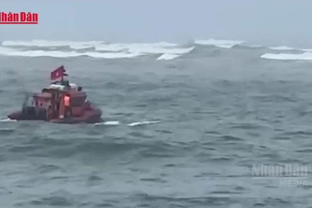 [Video] Chìm thuyền đánh cá ở Quảng Trị, 1 ngư dân mất tích