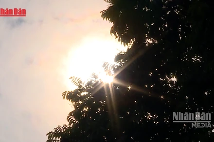 [Video] Nắng nóng có xu hướng gia tăng từ tháng 4, mở rộng ra nhiều khu vực