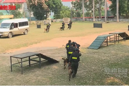 [Video] Những "chiến sĩ đặc biệt" trên trận tuyến bảo vệ ngày hội non sông 