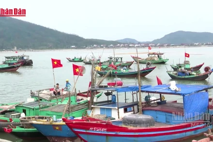 [Video] Bám biển vươn khơi, không quên ngày bầu cử