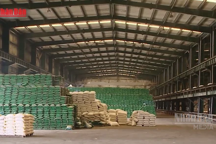 [Video] Giá phân bón tăng mạnh do ảnh hưởng của chiến sự Trung Đông