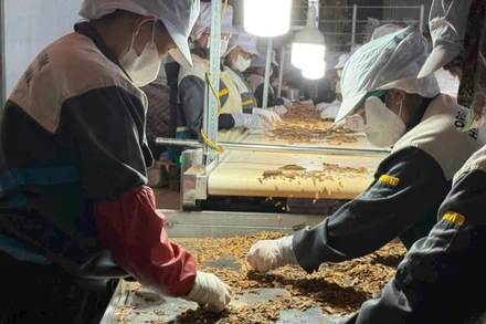 Sản xuất gia vị theo dây chuyền để xuất khẩu. (Ảnh: PV)