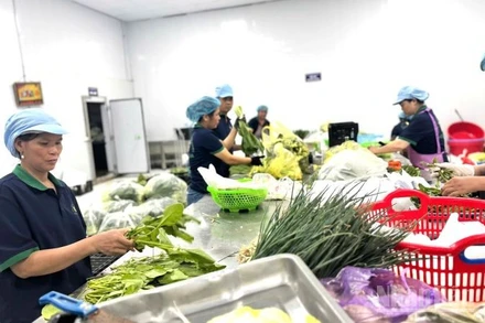 Quy định mới cho phù hợp tình hình thực tế và góp phần nâng cao thu nhập cho người dân trong lĩnh vực nông, lâm nghiệp. (Ảnh: HNV)