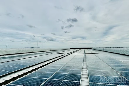 Điện mặt trời áp mái trong khu công nghiệp DEEP C, Hải Phòng. (Ảnh: HNV)