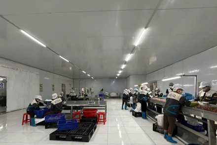 Tỷ lệ hộ đánh giá có thu nhập tháng 8 không thay đổi và tăng lên so với tháng cùng kỳ năm 2024 là 96,6%. (Ảnh: PV)