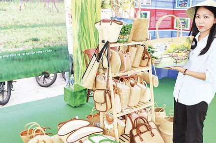 Chị Trần Thị Trang khởi nghiệp thành công với nghề cỏ bàng.