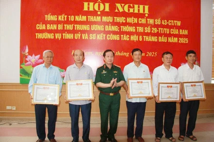 Lãnh đạo Hội Nạn nhân chất độc da cam/dioxin Việt Nam trao Bằng khen cho các tập thể, cá nhân.