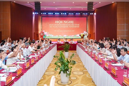 Các đại biểu biểu quyết tại hội nghị.