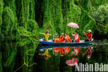 Du khách tham quan, trải nghiệm khu du lịch sinh thái Làng nổi Tân Lập, huyện Mộc Hóa, tỉnh Long An. (Nguồn TTXTDL)